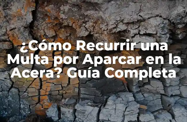 ¿cómo Recurrir una Multa por Aparcar en la Acera? Guía Completa
