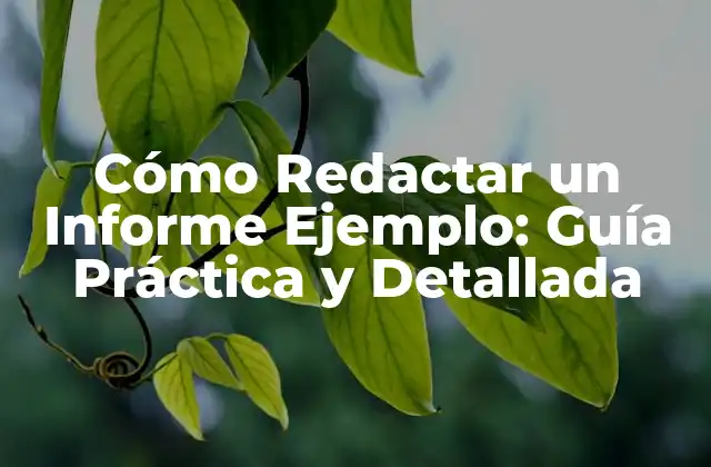 Cómo Redactar un Informe Ejemplo: Guía Práctica y Detallada