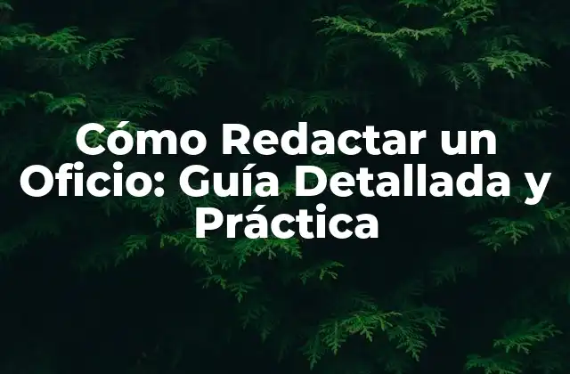 Cómo Redactar un Oficio: Guía Detallada y Práctica