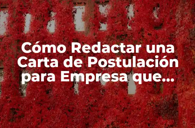 Cómo Redactar una Carta de Postulación para Empresa que Impresione