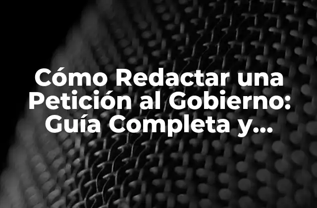 Cómo Redactar una Petición Al Gobierno: Guía Completa y Efectiva