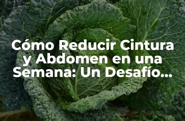 Cómo Reducir Cintura y Abdomen en una Semana: un Desafío Realizable