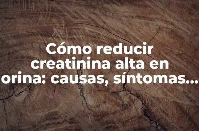Cómo Reducir Creatinina Alta en Orina: Causas, Síntomas y Tratamiento