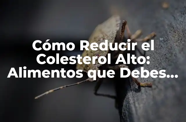 Cómo Reducir el Colesterol Alto: Alimentos que Debes Comer para Bajarlo 2 ¿Qué es el Colesterol y por Qué es Importante Controlarlo?