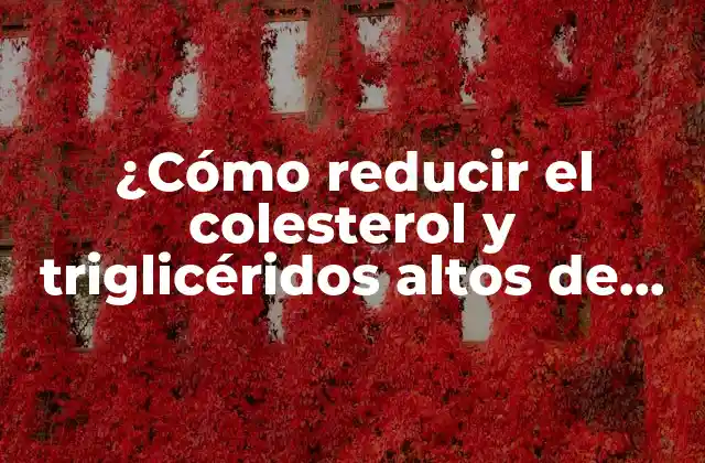 ¿cómo Reducir el Colesterol y Triglicéridos Altos de Forma Natural y Efectiva?