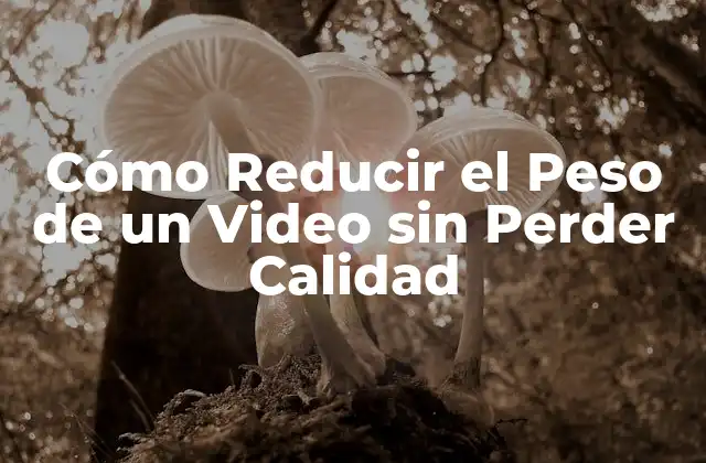 Cómo Reducir el Peso de un Video sin Perder Calidad