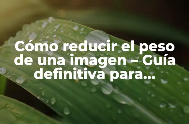 Cómo Reducir el Peso de una Imagen – Guía Definitiva para Optimizar Imágenes