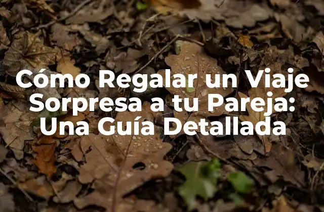 Cómo Regalar un Viaje Sorpresa a Tu Pareja: una Guía Detallada