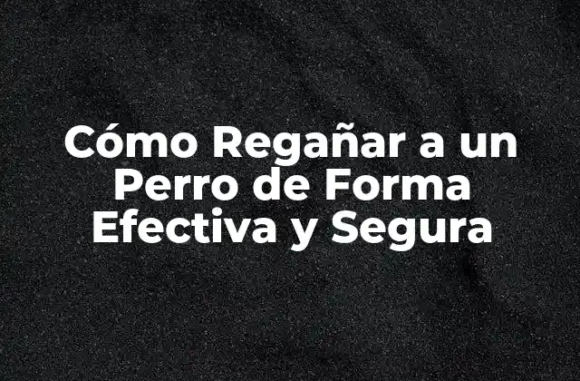 Cómo Regañar a un Perro de Forma Efectiva y Segura 2 Entendiendo por qué Regañar a un Perro es Necesario