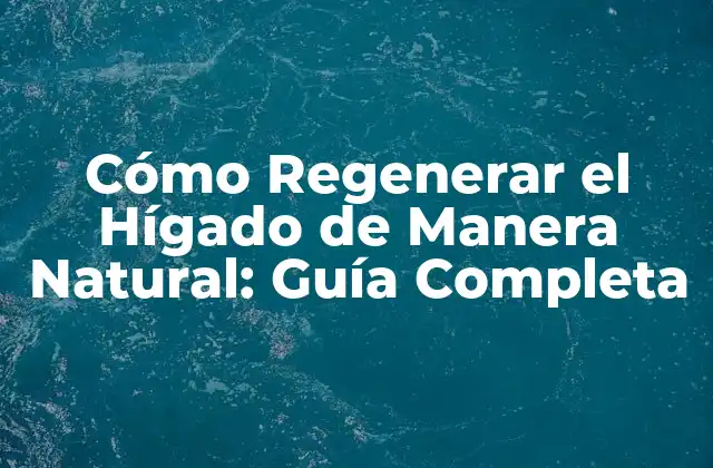 Cómo Regenerar el Hígado de Manera Natural: Guía Completa 2 ¿Por qué es Importante la Regeneración del Hígado?