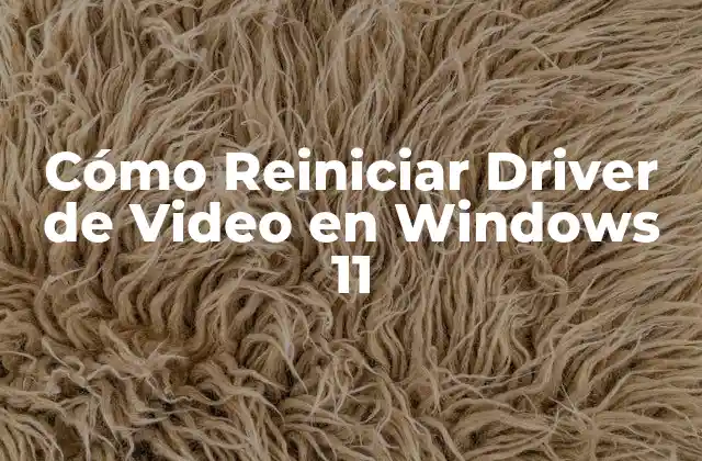 Cómo Reiniciar Driver de Video en Windows 11