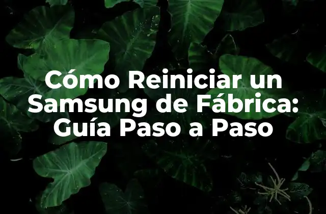 Cómo Reiniciar un Samsung de Fábrica: Guía Paso a Paso