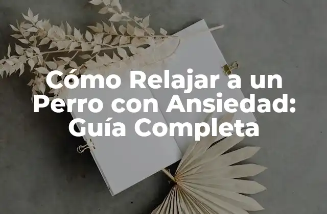 Cómo Relajar a un Perro con Ansiedad: Guía Completa