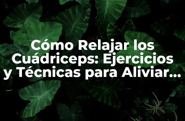 Cómo Relajar los Cuádriceps: Ejercicios y Técnicas para Aliviar el Estrés y la Tensión