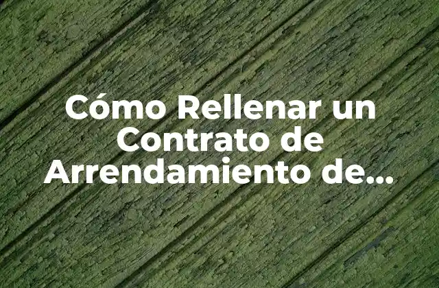 Cómo Rellenar un Contrato de Arrendamiento de Vivienda: Guía Detallada