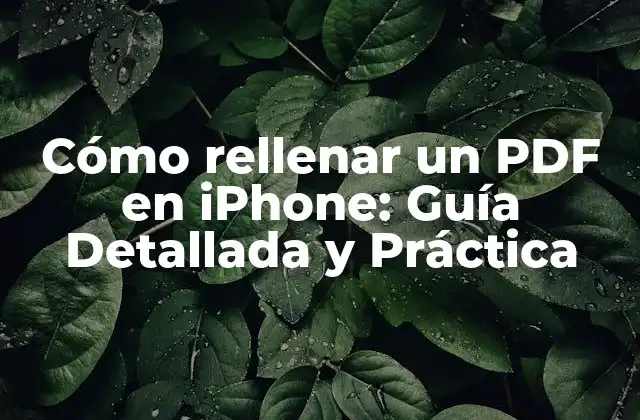 Cómo Rellenar un Pdf en Iphone: Guía Detallada y Práctica