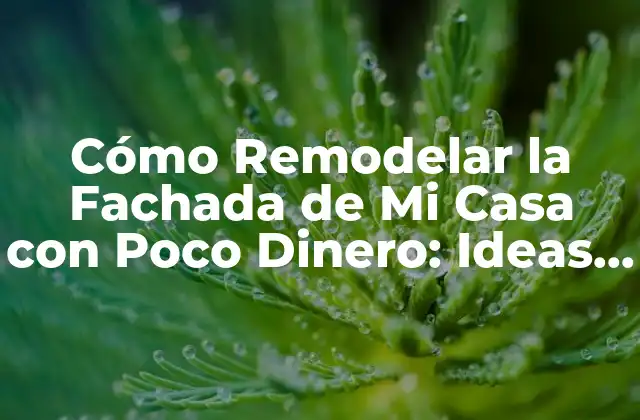 Cómo Remodelar la Fachada de Mi Casa con Poco Dinero: Ideas y Consejos Prácticos