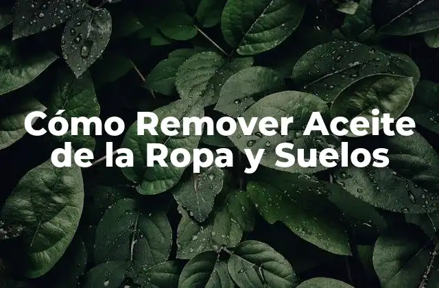 Cómo Remover Aceite de la Ropa y Suelos