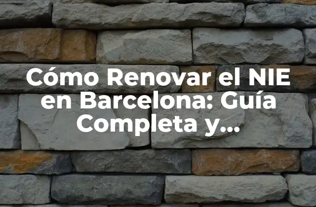 Cómo Renovar el Nie en Barcelona: Guía Completa y Actualizada