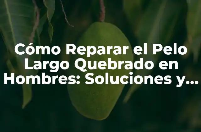 ¿Qué Causa el Pelo Largo Quebrado en Hombres?