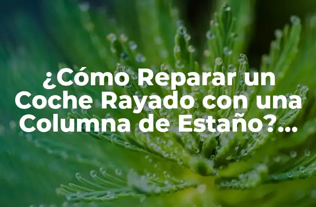 ¿cómo Reparar un Coche Rayado con una Columna de Estaño? (reparación de Rayones en Coches)