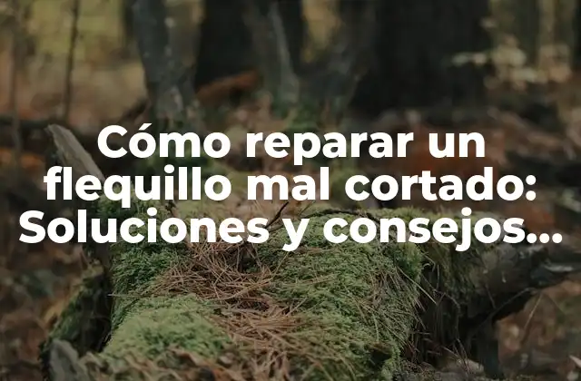 Cómo Reparar un Flequillo Mal Cortado: Soluciones y Consejos Prácticos