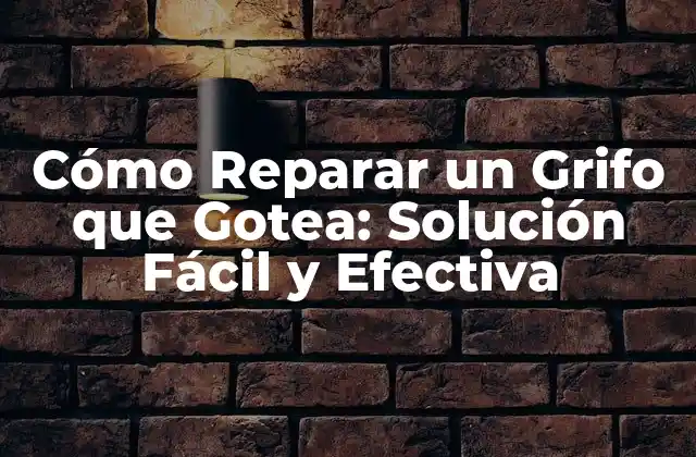 Cómo Reparar un Grifo que Gotea: Solución Fácil y Efectiva