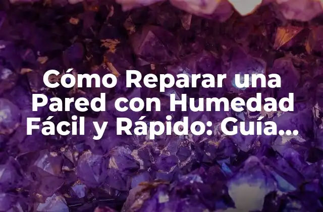 Cómo Reparar una Pared con Humedad Fácil y Rápido: Guía Práctica