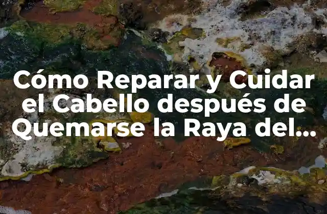 Cómo Reparar y Cuidar el Cabello Después de Quemarse la Raya Del Pelo