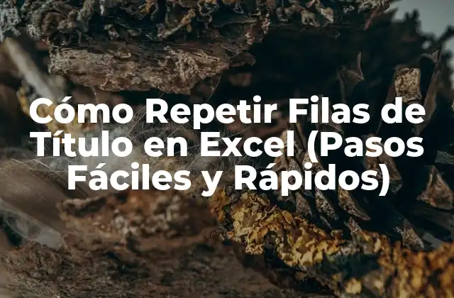 Cómo Repetir Filas de Título en Excel (pasos Fáciles y Rápidos)