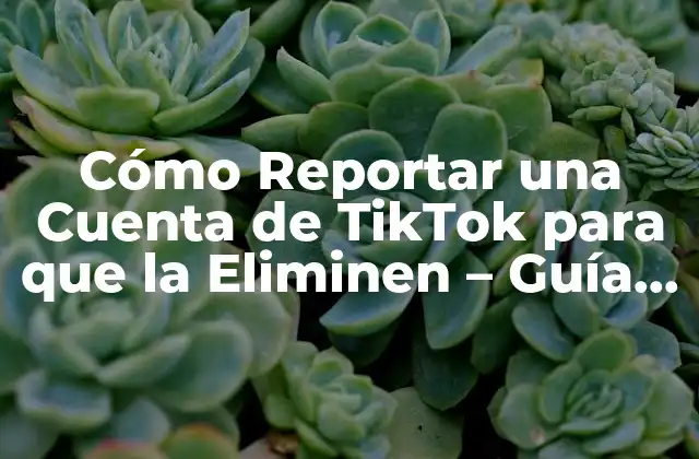 Cómo Reportar una Cuenta de Tiktok para que la Eliminen – Guía Detallada
