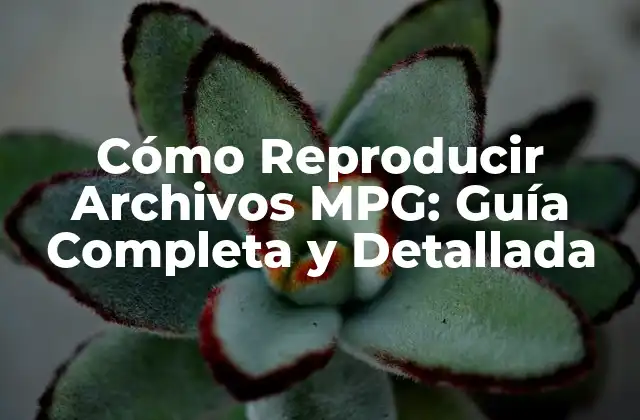 Cómo Reproducir Archivos Mpg: Guía Completa y Detallada