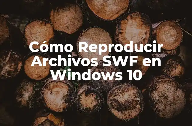Cómo Reproducir Archivos Swf en Windows 10 2 ¿Por qué es difícil reproducir archivos SWF en Windows 10?