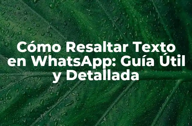 Cómo Resaltar Texto en Whatsapp: Guía Útil y Detallada