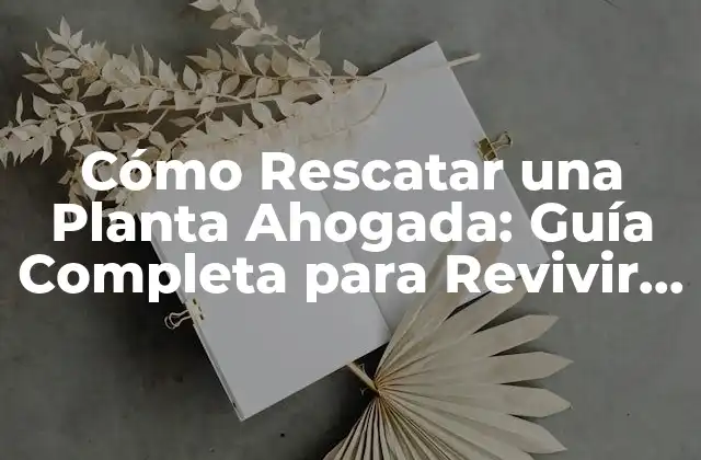Cómo Rescatar una Planta Ahogada: Guía Completa para Revivir Tus Plantas
