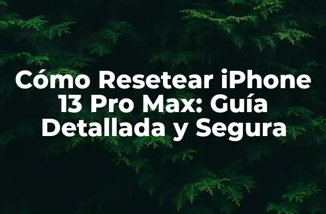 Cómo Resetear Iphone 13 Pro Max: Guía Detallada y Segura