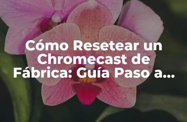 Cómo Resetear un Chromecast de Fábrica: Guía Paso a Paso