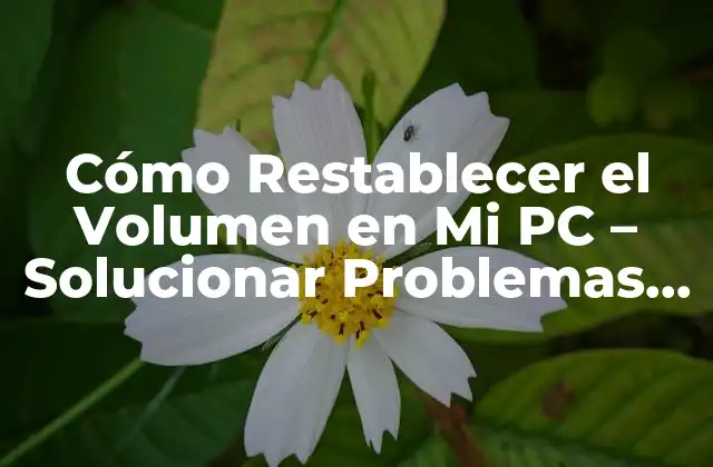 Cómo Restablecer el Volumen en Mi Pc – Solucionar Problemas de Audio