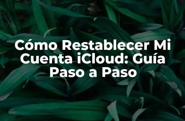 Cómo Restablecer Mi Cuenta Icloud: Guía Paso a Paso