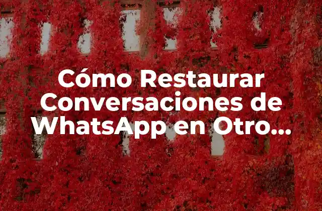 Cómo Restaurar Conversaciones de Whatsapp en Otro Teléfono 2 ¿Por qué es Importante Restaurar Conversaciones de WhatsApp?