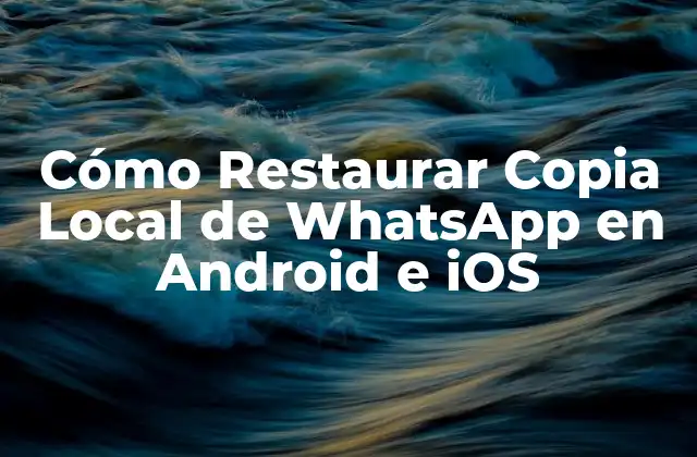 Cómo Restaurar Copia Local de Whatsapp en Android e Ios 2 ¿Qué es una Copia Local de WhatsApp?