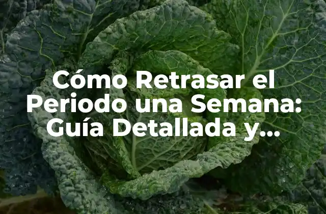 Cómo Retrasar el Periodo una Semana: Guía Detallada y Segura