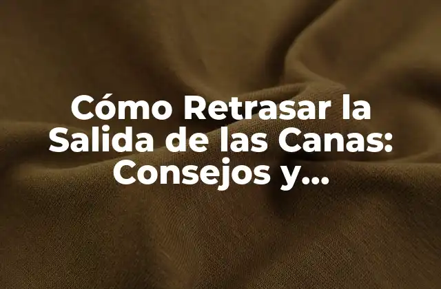 Cómo Retrasar la Salida de las Canas: Consejos y Tratamientos Naturales