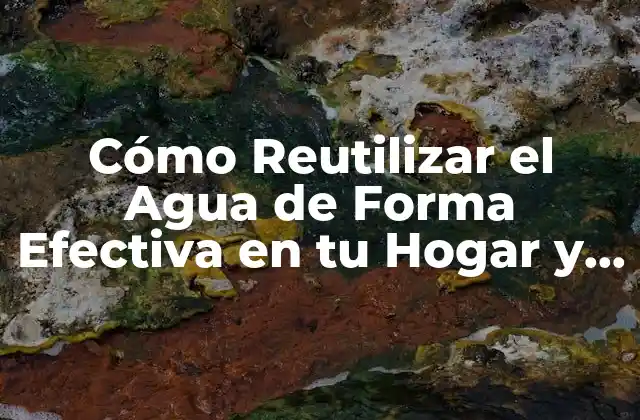 Cómo Reutilizar el Agua de Forma Efectiva en Tu Hogar y Comunidad
