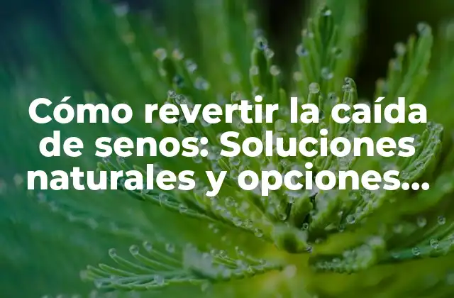 Cómo Revertir la Caída de Senos: Soluciones Naturales y Opciones Quirúrgicas para Mujeres con Tetas Caídas