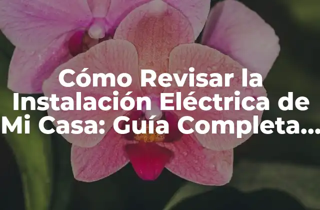 Cómo Revisar la Instalación Eléctrica de Mi Casa: Guía Completa y Segura