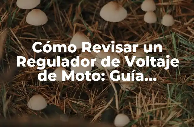 Cómo Revisar un Regulador de Voltaje de Moto: Guía Completa y Detallada