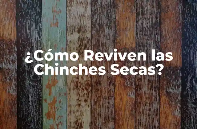 ¿cómo Reviven las Chinches Secas? 2 La Anatomía de las Chinches Secas: Cómo se Adapran al Entorno