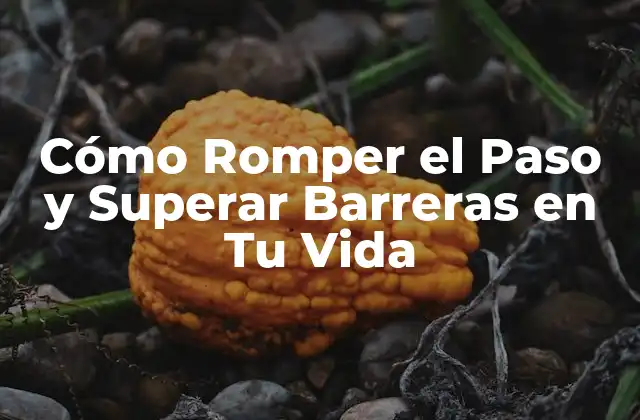 Cómo Romper el Paso y Superar Barreras en Tu Vida 2 ¿Qué es Romper el Paso?