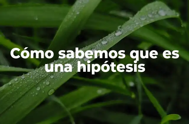 Cómo Sabemos que es una Hipótesis